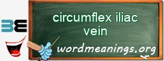 WordMeaning blackboard for circumflex iliac vein